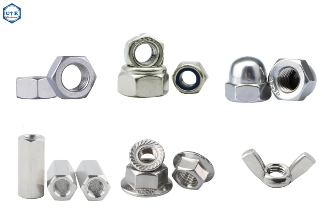 Stainless Steel SS304 SS316 A2 A4 DIN934 DIN985 DIN6923 DIN1587 Hex Nut/Hex Flange Nut /Nylon Lock Nut /Cap Nut/ Wing Nut/Coupling Nut/Cage Nut/Spring Nut